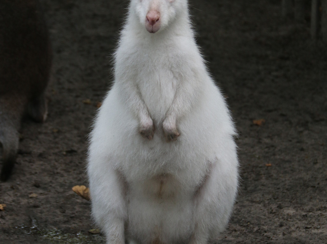 Birgits Tiergarten-Hage必去景点