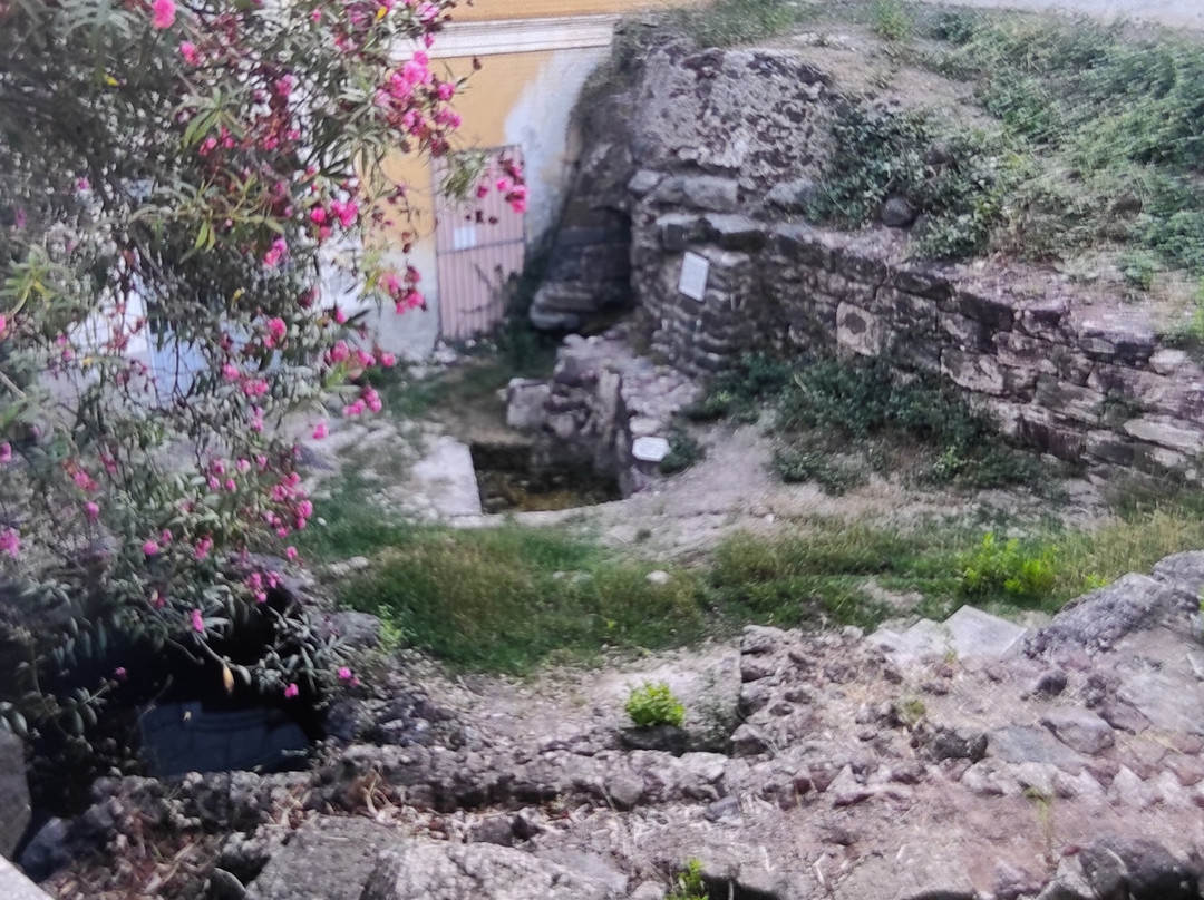 Terme di San Calogero景点图片