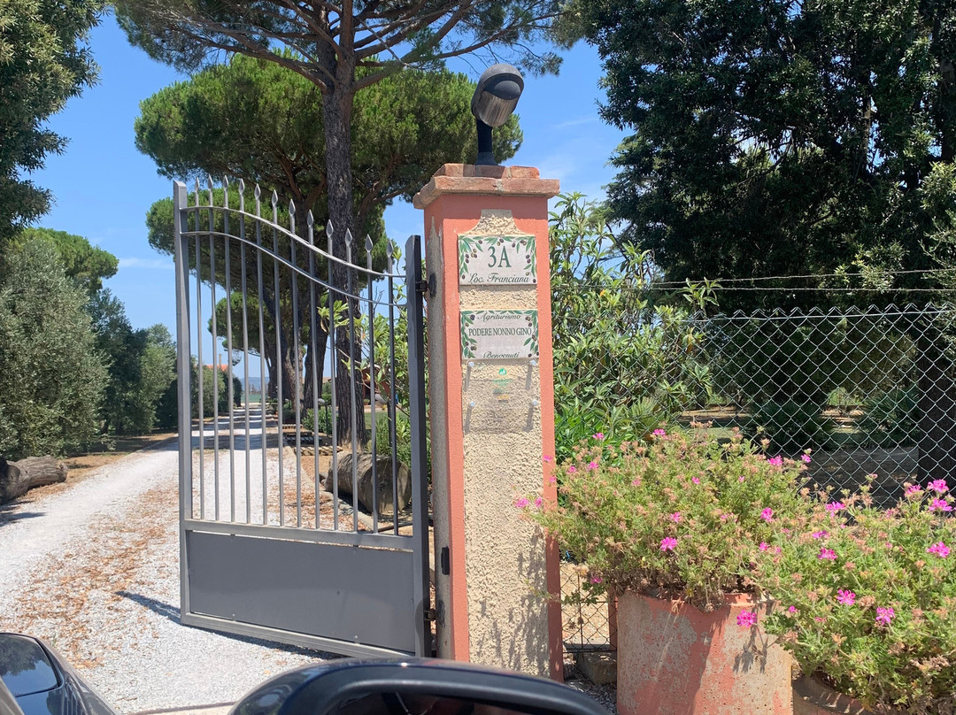 Agriturismo Podere Nonno Gino主图