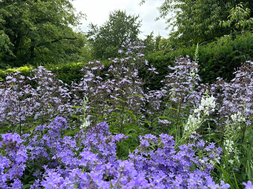 Pitmuies Gardens-Forfar必去景点
