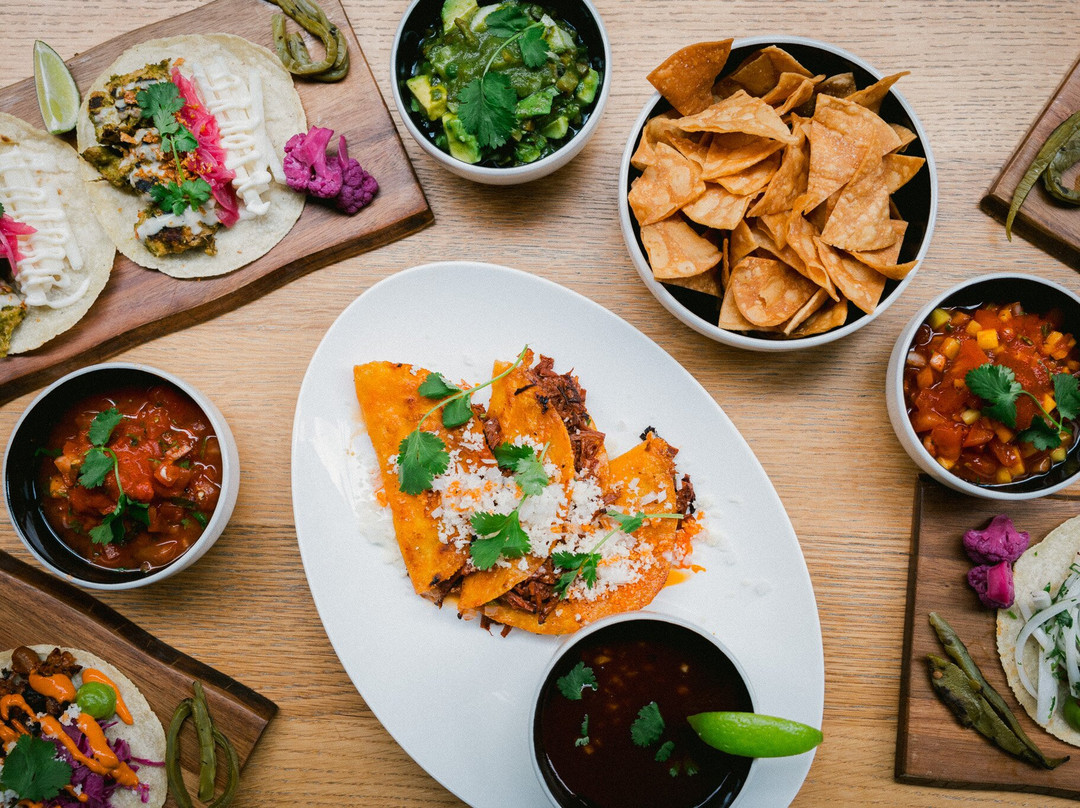 Sentir Vegan Mexican Restaurant