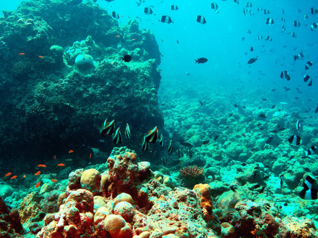 TGI Fasmendhoo-Fasmendhoo必去景点