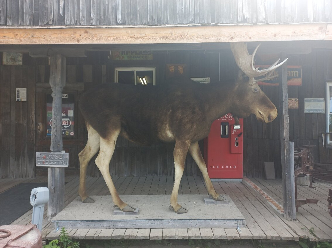 Young's General Store-Wawa必去景点