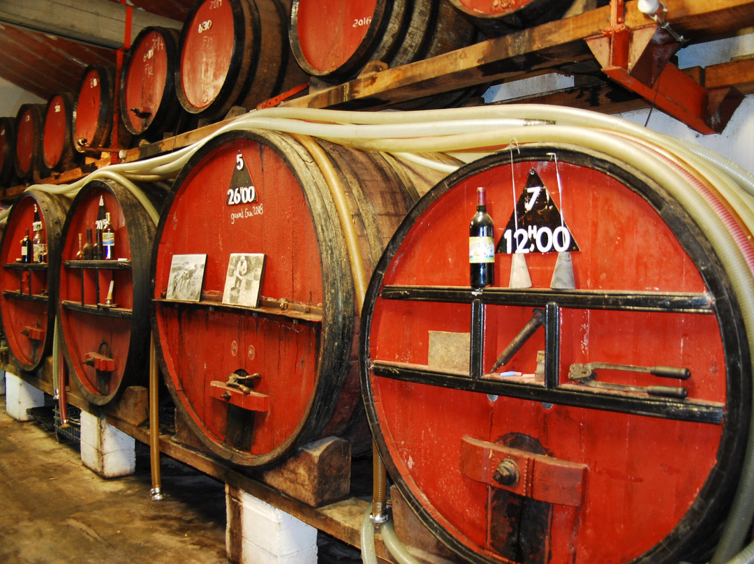 Domaine Vial Magnères景点图片