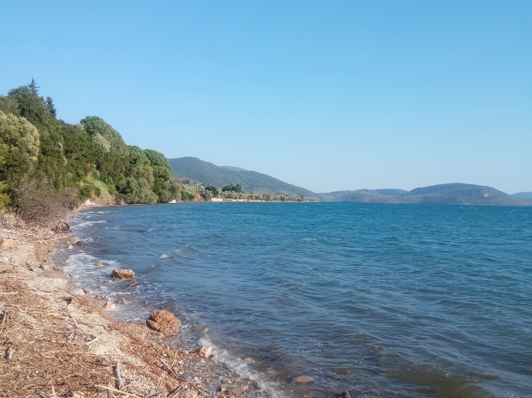 米缇莱那田园酒店主图