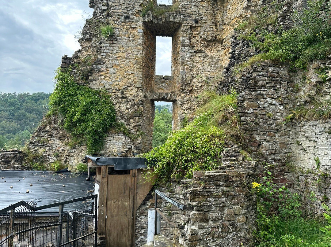 Chateau de Franchimont景点图片