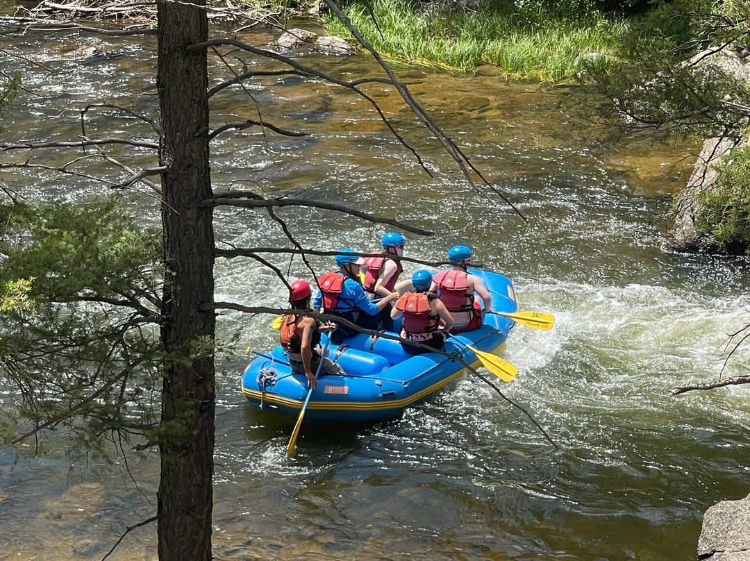 Scenic River Tours景点图片