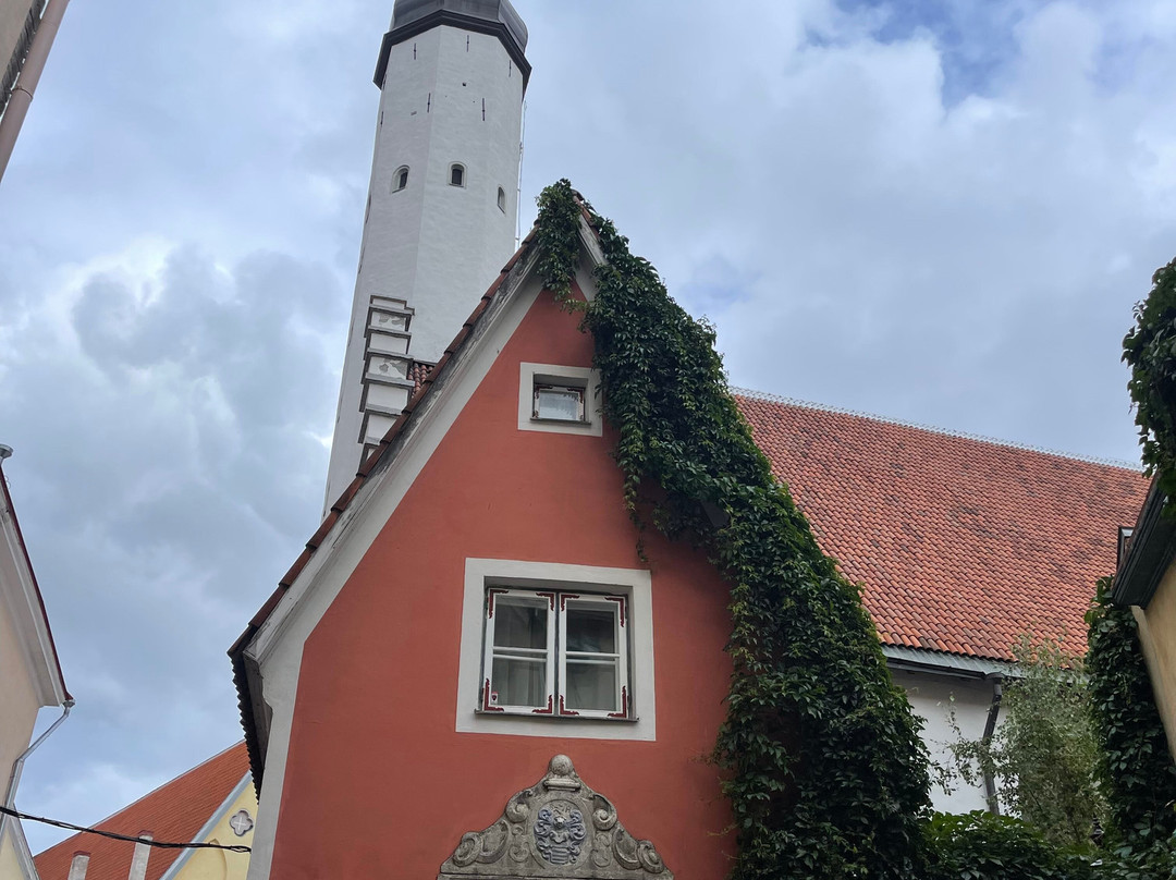 Estonia4u-塔林必去景点