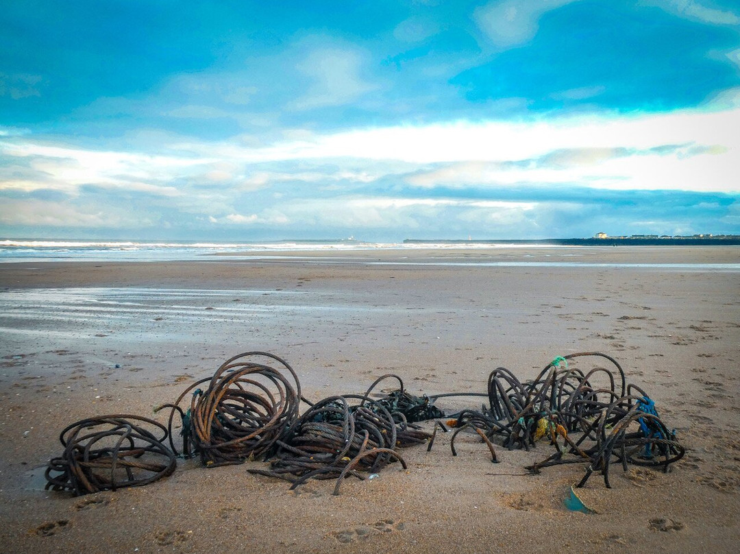 Warkworth Beach-Warkworth必去景点