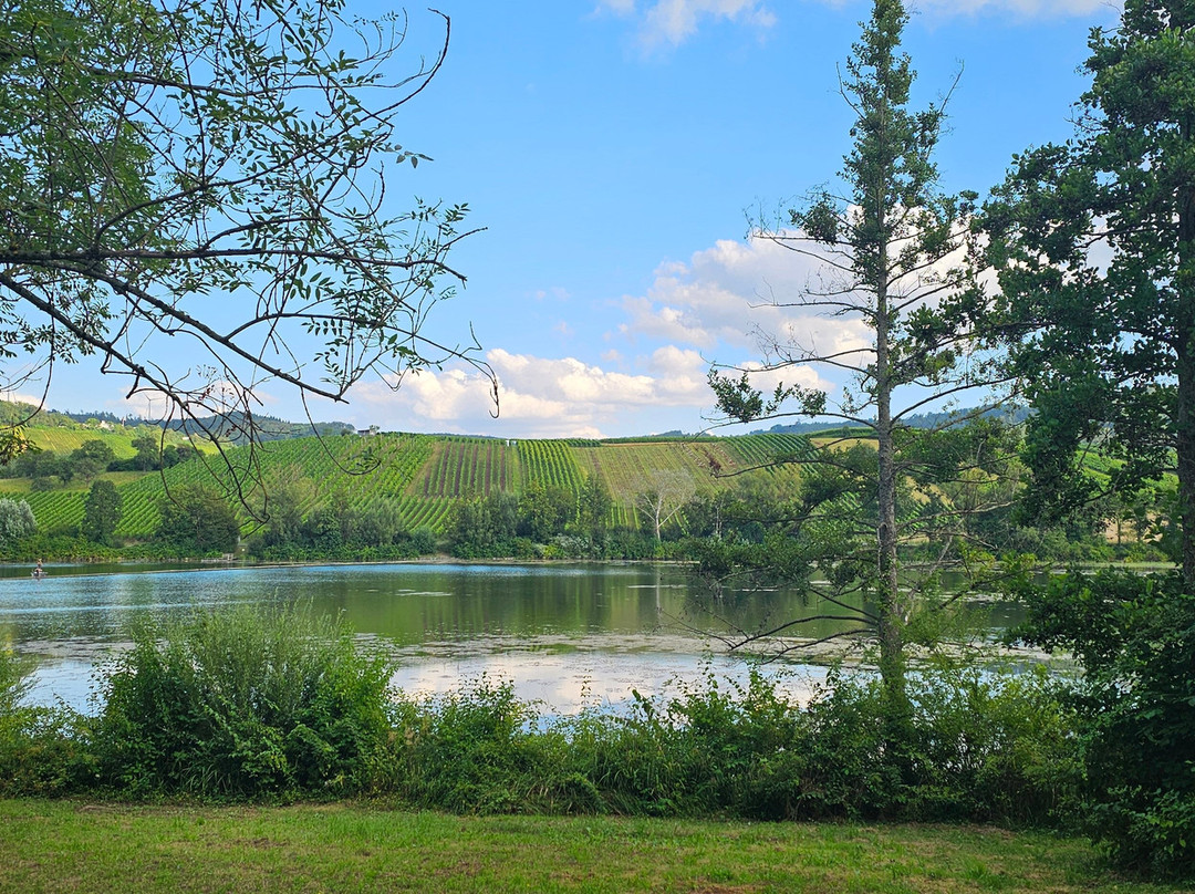 Landgasthof Hotel Roger主图