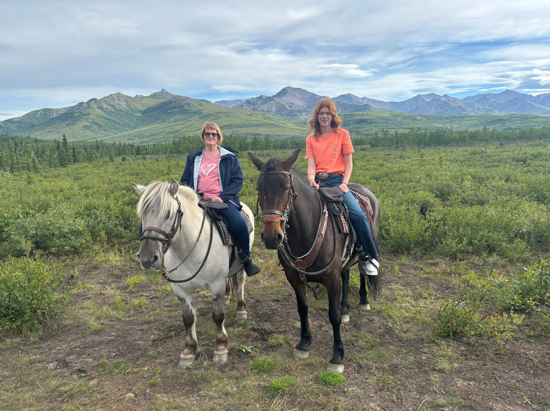 Denali Horseback Tours景点图片