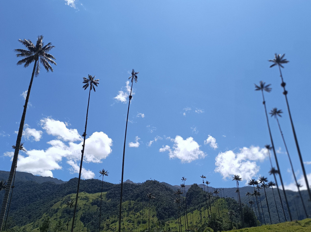 Nature Trips Colombia景点图片