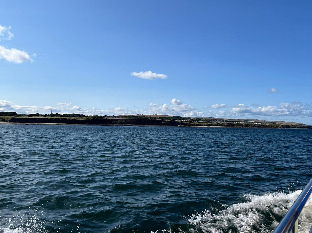 Berwick Boat Trips景点图片
