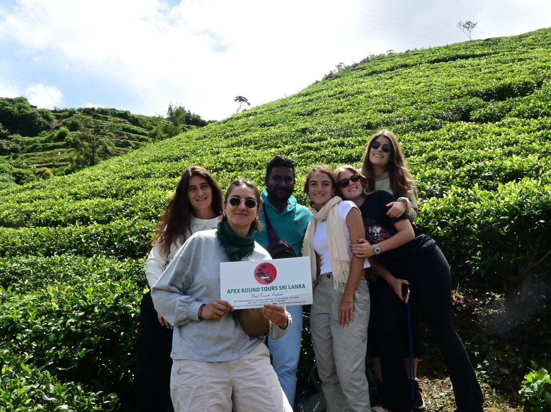 Apex Round Tours Sri lanka景点图片