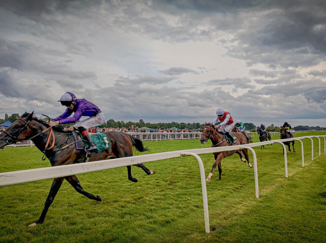 Ripon Racecourse景点图片