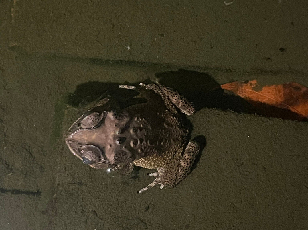 Gunung An Retreat主图