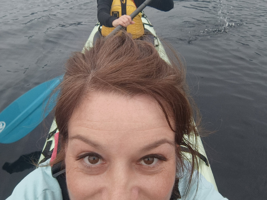Fjord en kayak景点图片