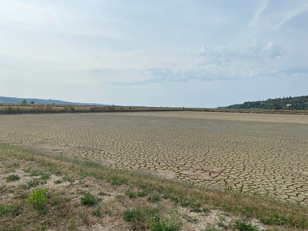 Secovlje Salina Nature Park景点图片