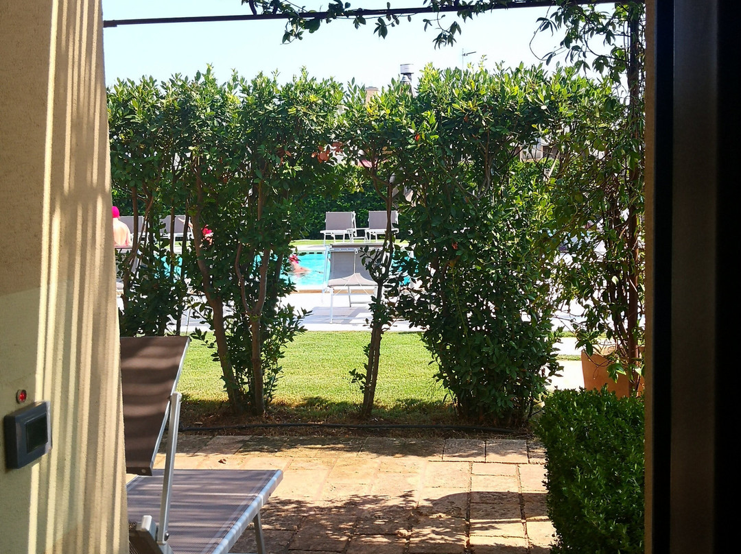 Delle Rose Horses Club主图