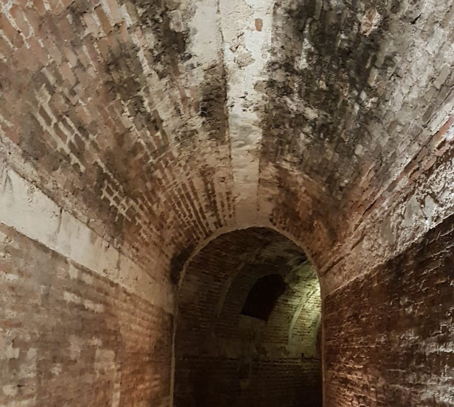 Bodegas De Alberto景点图片