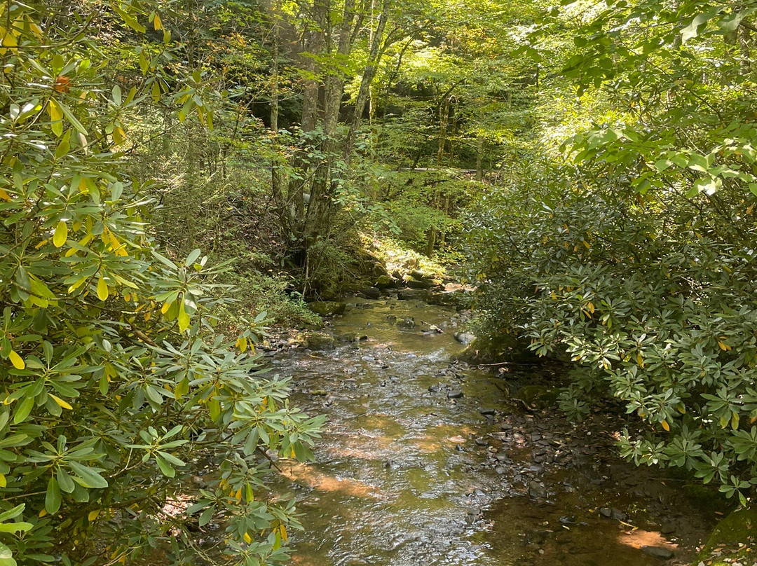 The Bike Station-Damascus必去景点