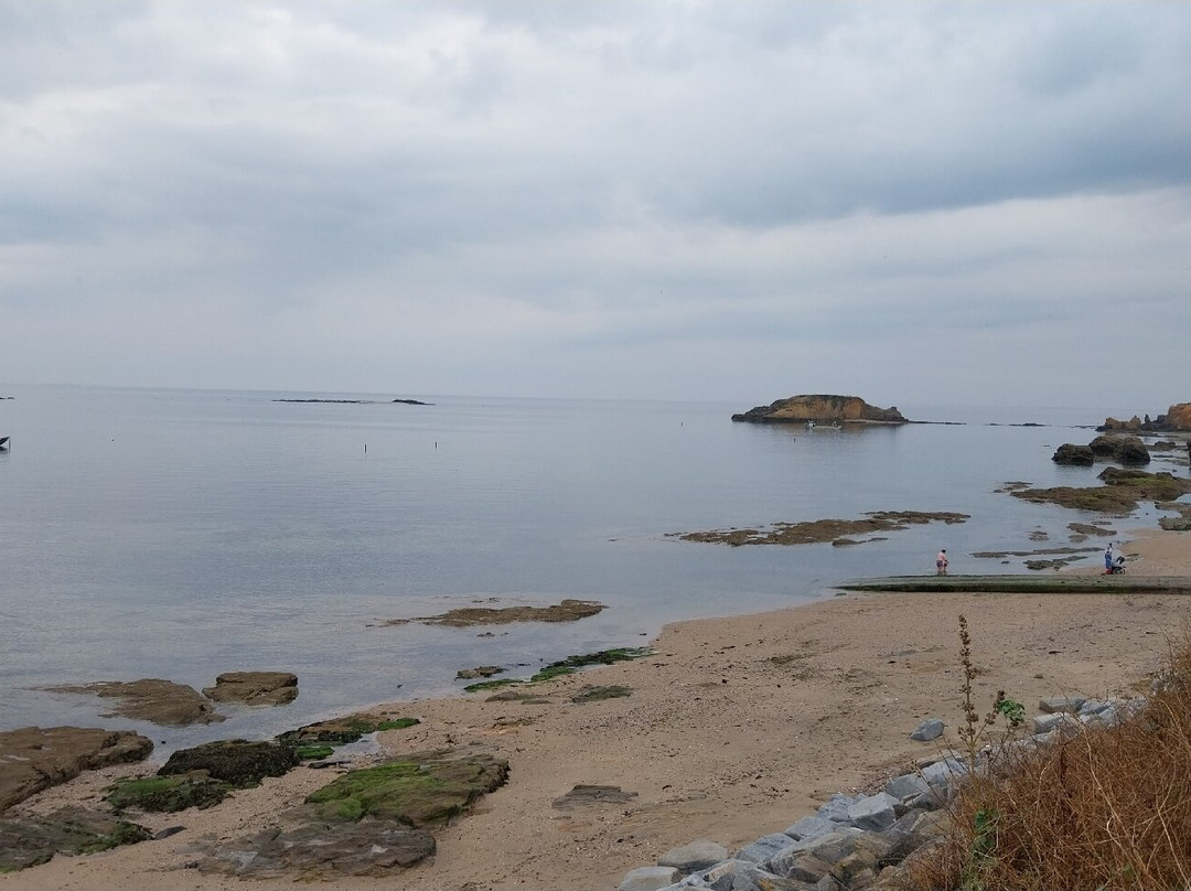 Pointe du Bile景点图片