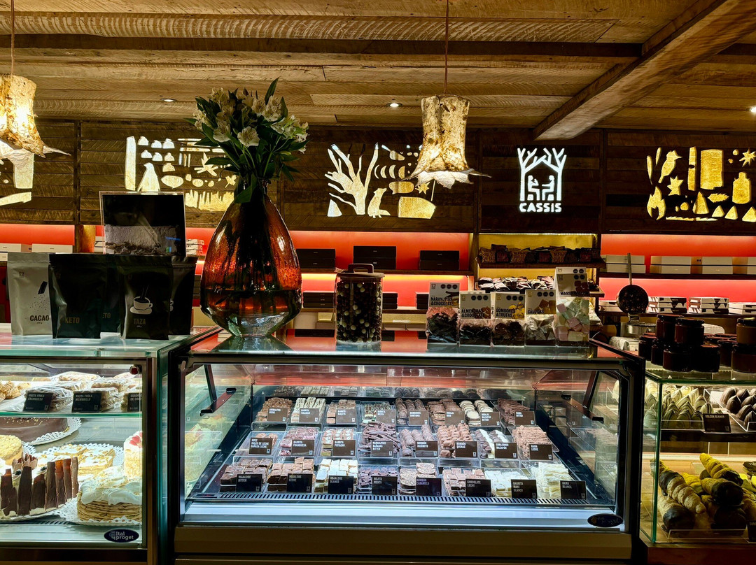 Cassis Isidora Goyenechea