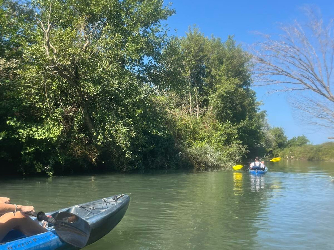 Dragonfly Kayak: The Acheron Experience景点图片