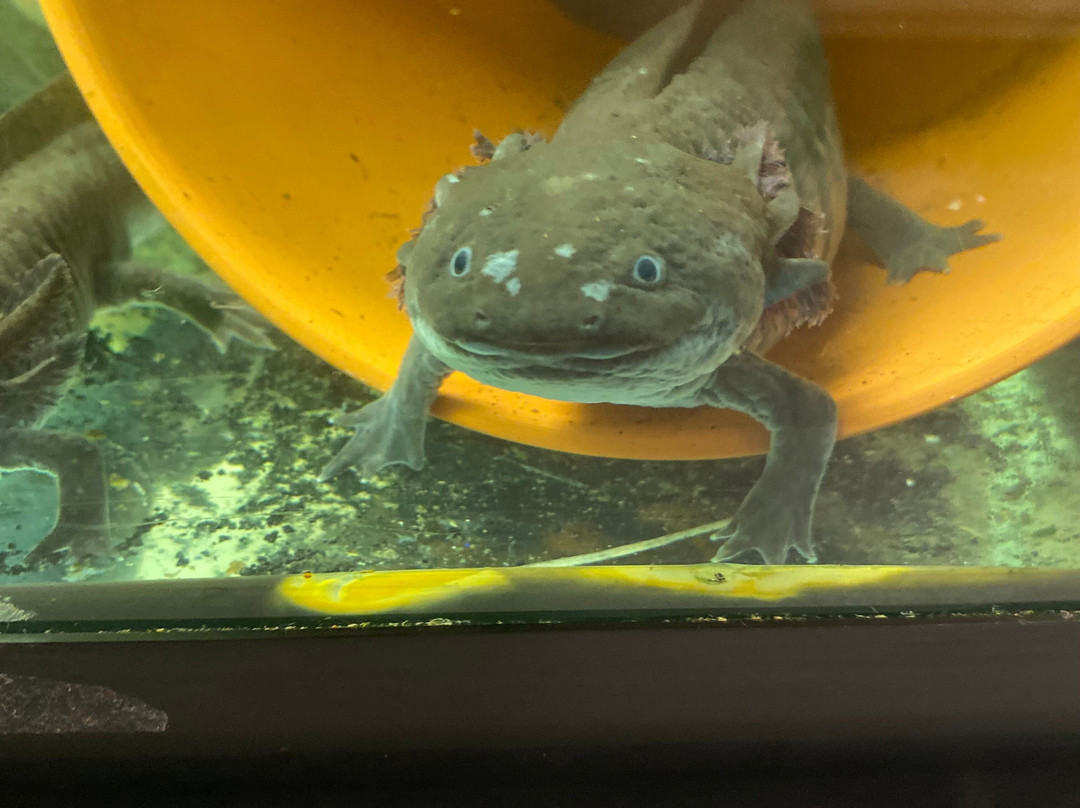 Newfoundland Insectarium-Reidville必去景点