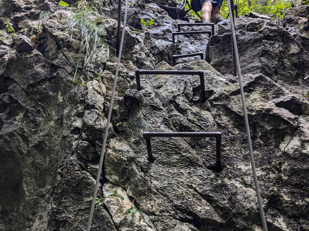 Dovzan Gorge-特尔日奇必去景点