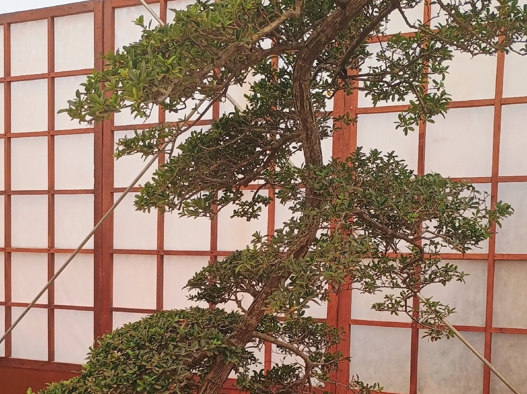 Festa de Flores e Morangos de Atibaia-阿蒂巴亚必去景点