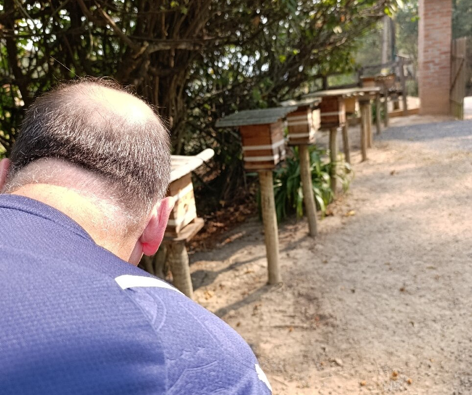 Apiário Flores da Serra-蒙特贝尔德必去景点