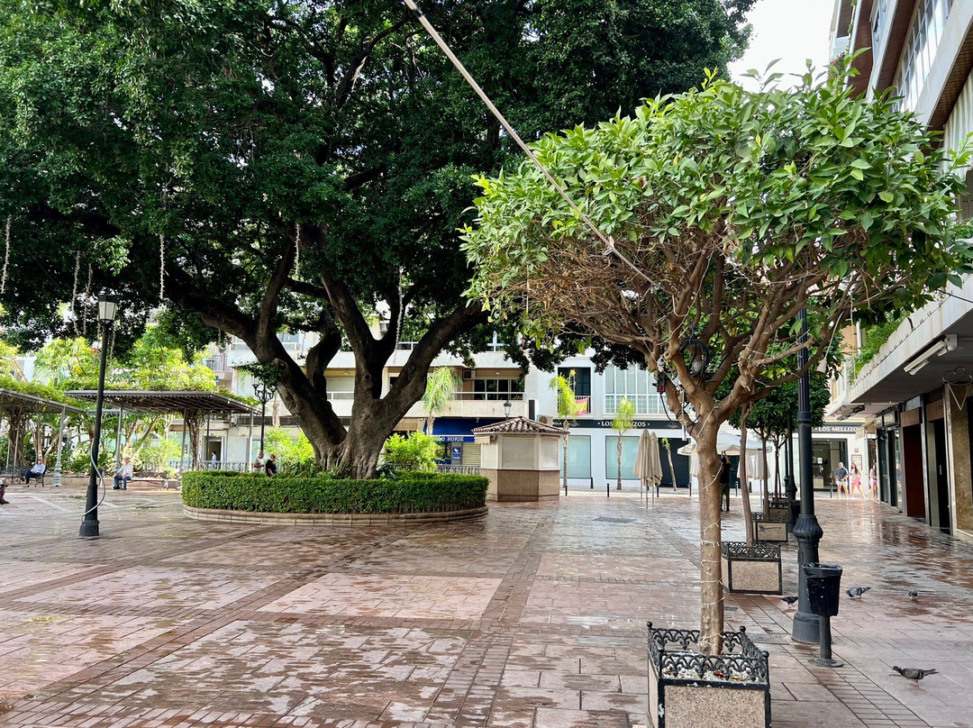 Plaza Constitucion景点图片