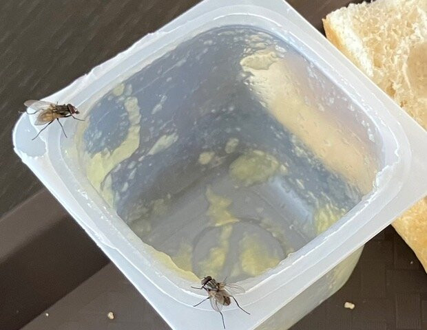 Logis Hôtel de la Poste主图