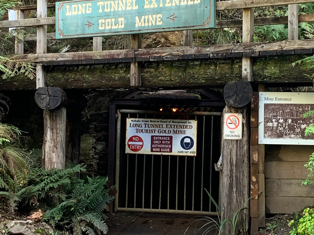 Long Tunnel Extended Gold Mine景点图片
