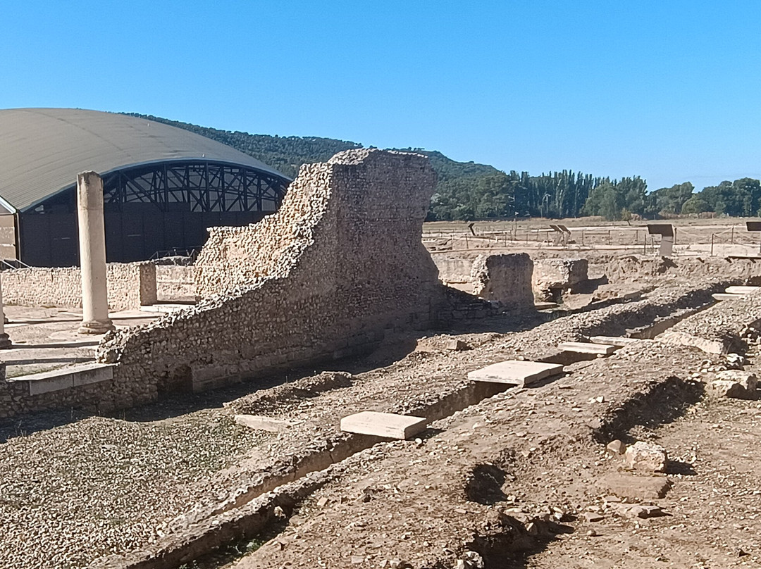 Romana de Complutum-阿尔卡拉-德-哈纳雷斯必去景点