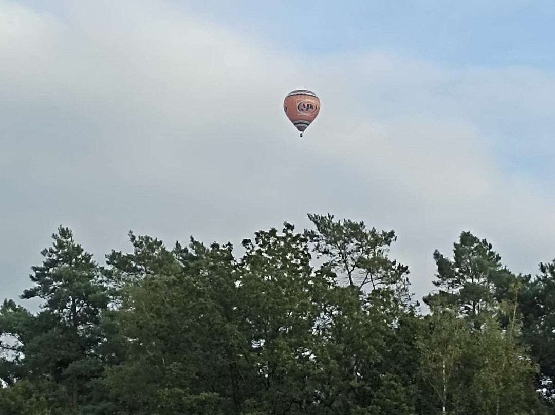 Step in Balloons BV景点图片
