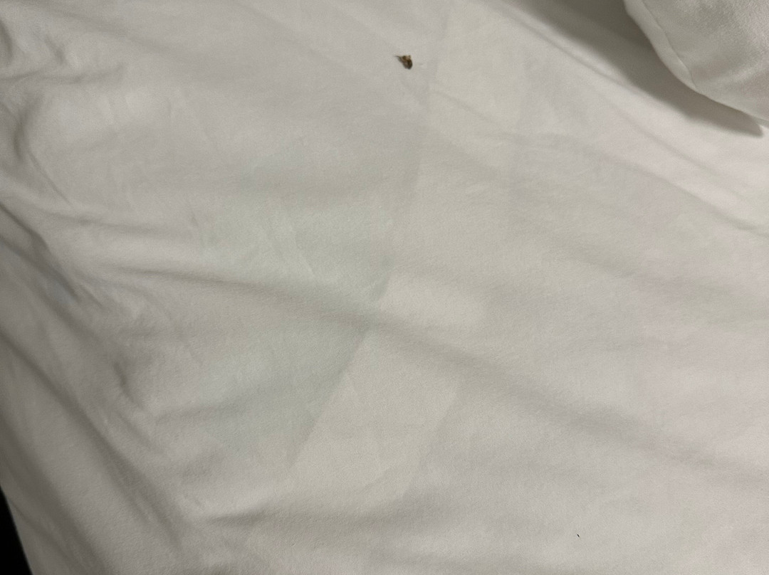 Best Western Visalia Hotel主图