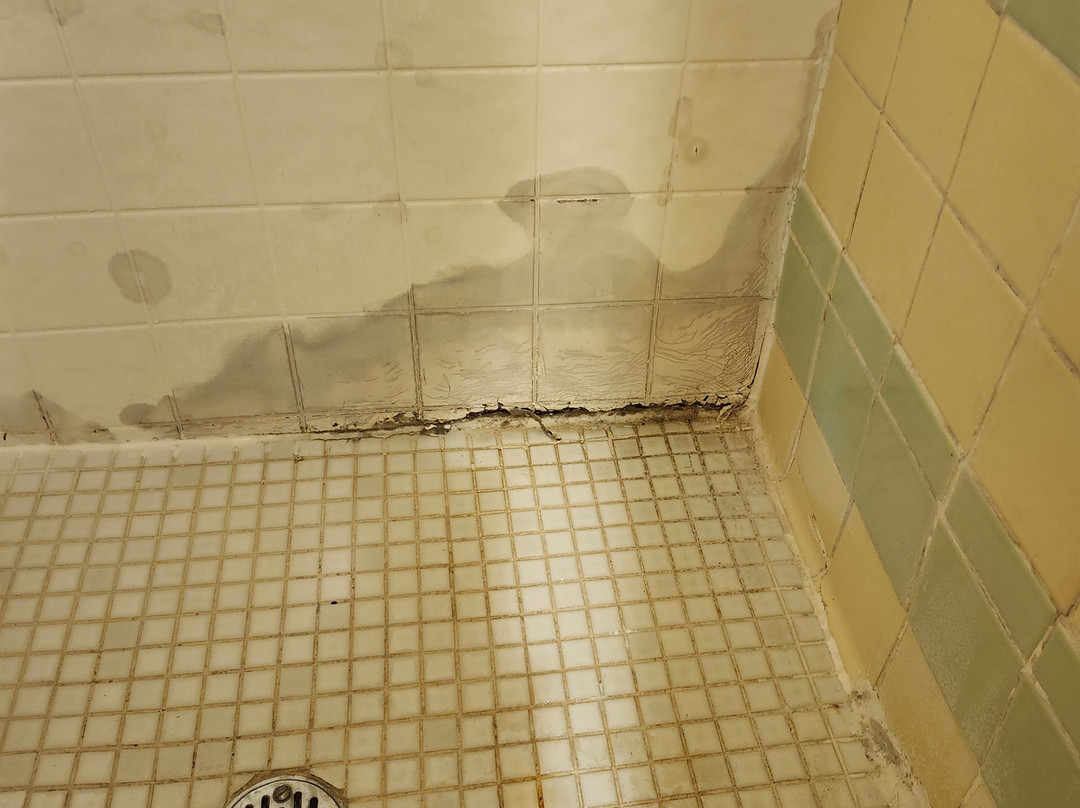 Presque Isle's Huron Shore Motel主图