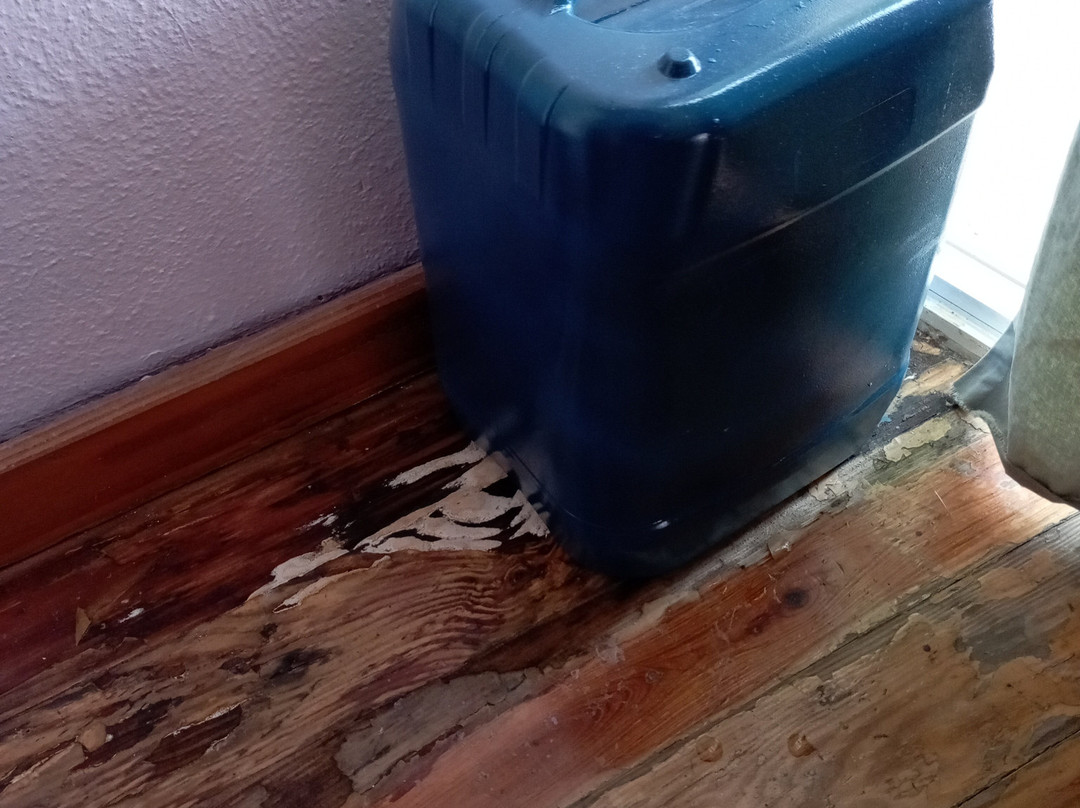 La Casa Verde Hostel主图