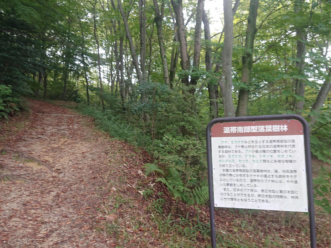 Botanical Gardens Faculty of Science Osaka City University-交野市必去景点