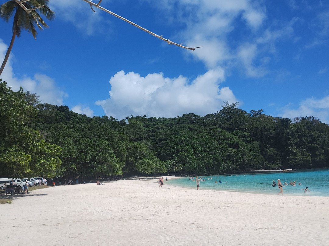 Champagne Beach-埃斯皮里图桑托岛必去景点