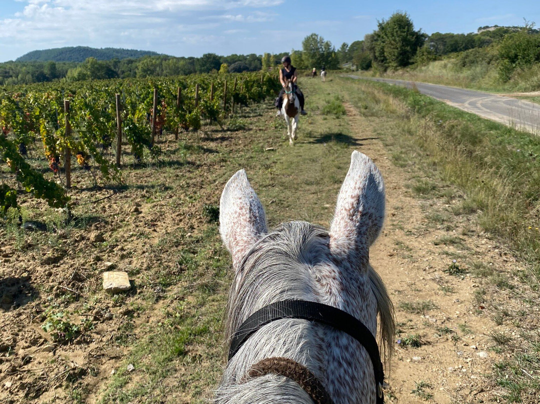 Horse Aventure-Saint-Bauzille-de-Montmel必去景点
