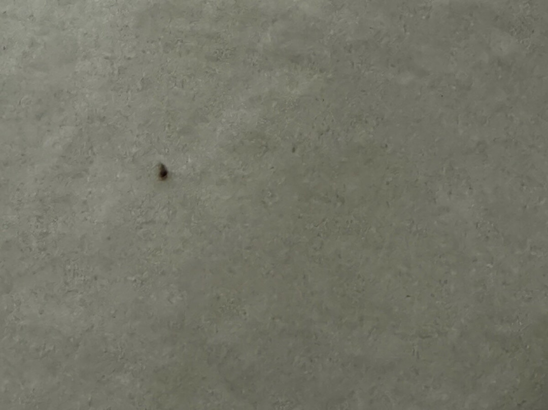 乡村壁炉套房酒店主图