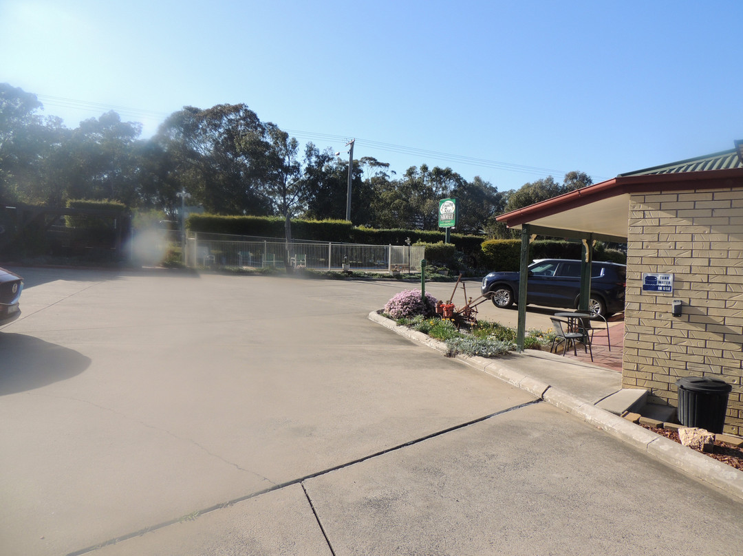 Country Rose Motel Warwick主图