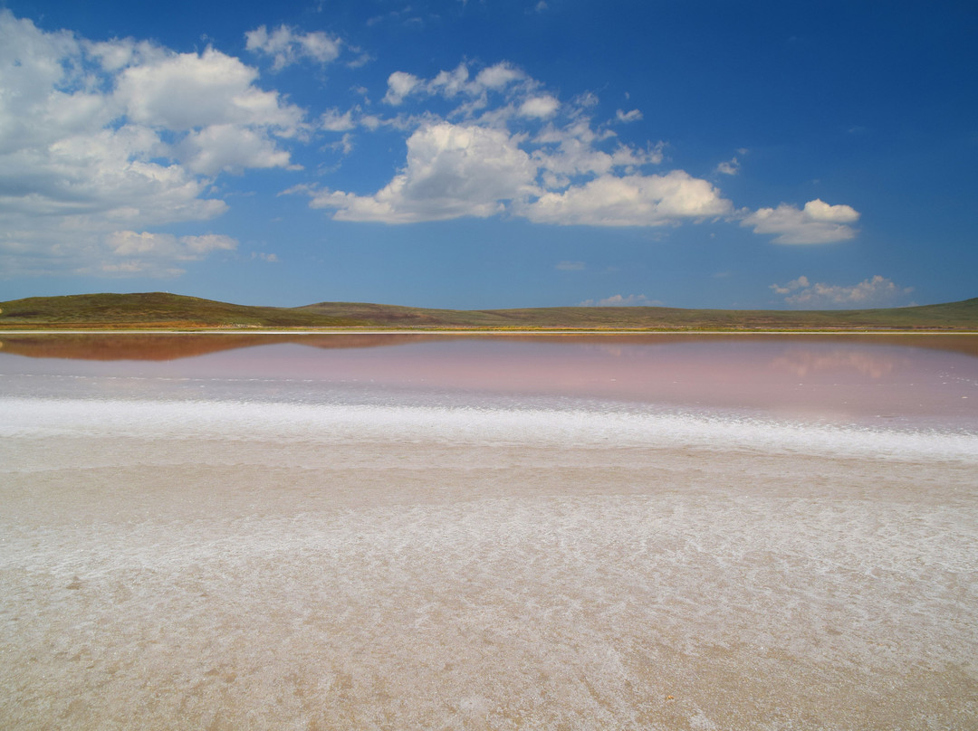 Opukskiy Nature Reserve景点图片