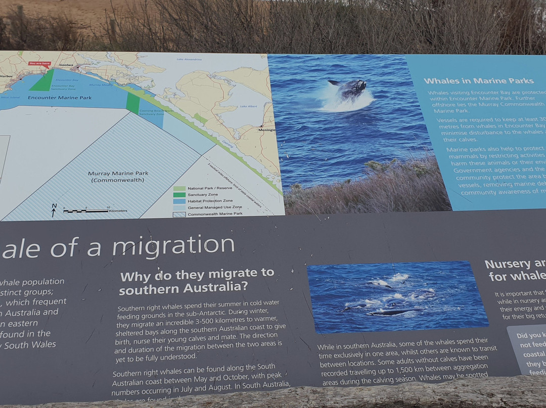 Basham Beach Conservation Park-Port Elliot必去景点