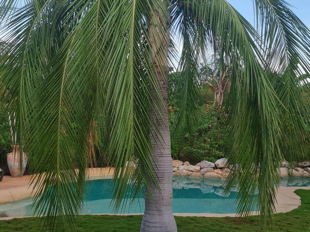 B&B Villa Zomerland主图