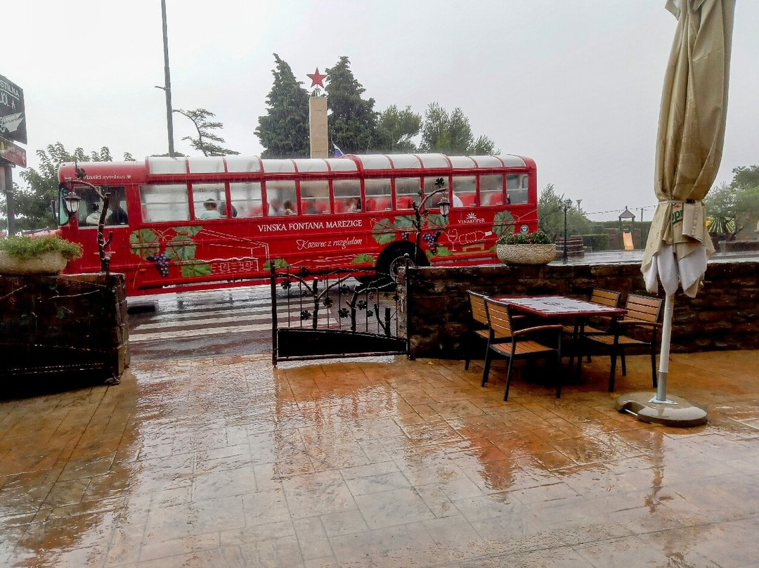 Wine Fountain Marezige景点图片