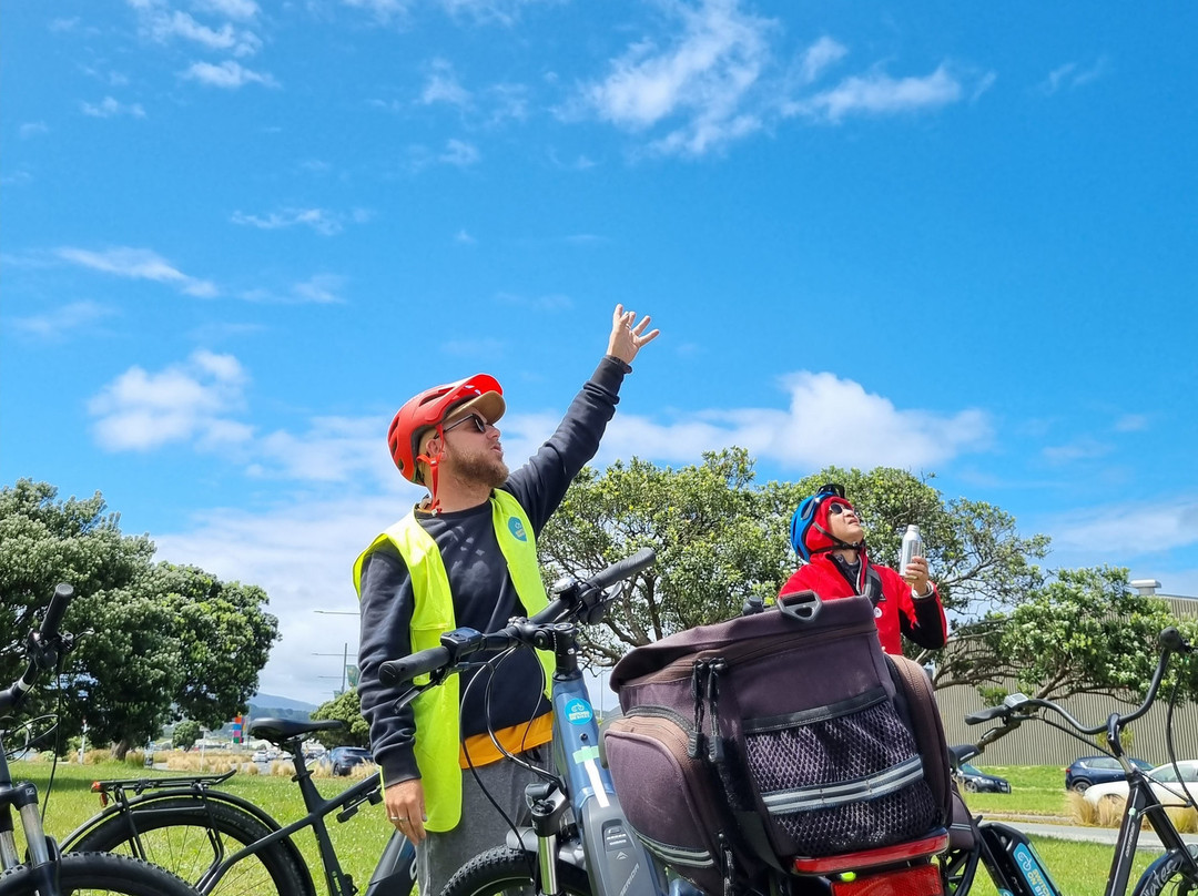 Switched on Bikes-惠灵顿必去景点